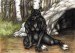 Mother_by_WolfBane88_thumb.jpg